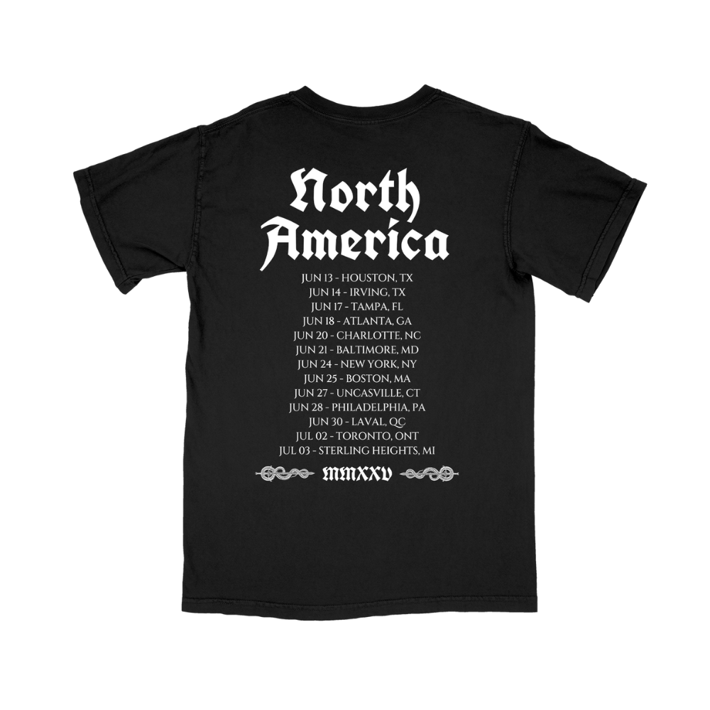 The Raven T-Shirt - T-shirt